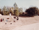 Batch_1_283129.jpg