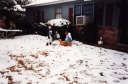 Batch_2_281529.jpg